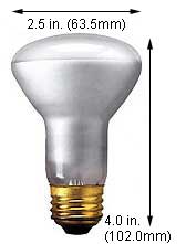 Incandescent Incandescent R20 100R20SP SPOT