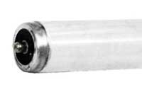 ***CLOSEOUT*** Fluorescent T12 F42T12CW
