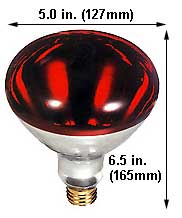 Incandescent Infrared Heat Par Type Heat Lamps 375R40/10