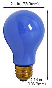 Incandescent Incandescent A19 100A99B