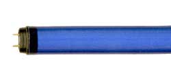 Shatter Resistant Fluorescent Safe-Shield T8 Medium BiPin F15T8B/BLUE JACKETED