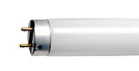 Fluorescent Fluorescent Tubes T8 Medium BiPin FO21/950/30 INCH