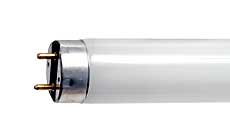 Fluorescent Fluorescent Tubes T8 Medium BiPin FO14/950/20 INCH  (21868)