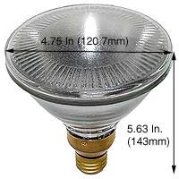 Incandescent Incandescent Par38 45PAR38QSP/10