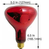 Incandescent Infrared Heat Par Type Heat Lamps 250BR40/10 RED