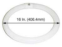 Fluorescent Circline Circline16 FC16T9WWRS