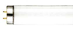 Fluorescent Fluorescent Tubes T10 Medium BiPin F20T10D/23  