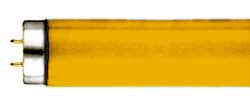 Fluorescent Fluorescent Tubes T8 Medium BiPin F32T8/GOLD