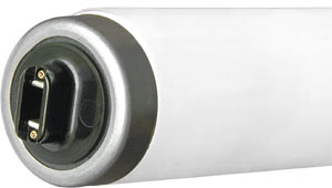 Fluorescent Fluorescent Safe-Shield T12 RDC F72T12DHO/SS  DAYLIGHT