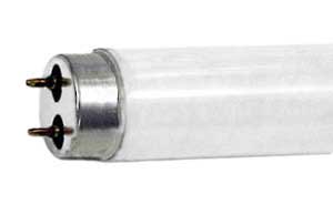 Fluorescent Fluorescent Tubes T8 Medium BiPin F30T8N     
