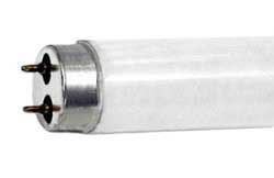 Fluorescent Fluorescent Safe-Shield T8 Medium BiPin F25T8/741/SS SAFE-SHIELD