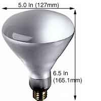 Incandescent Incandescent BR40 85BR40FL